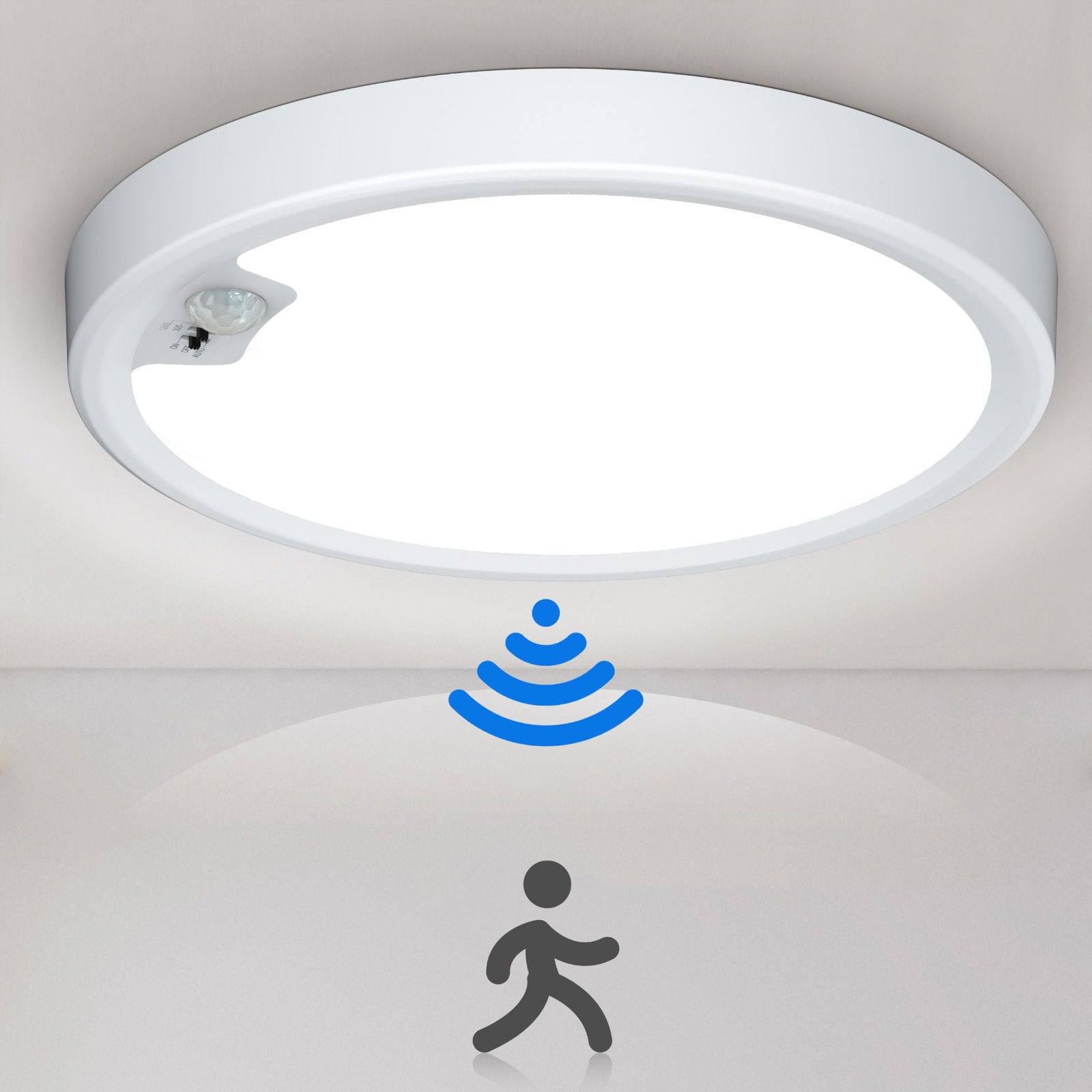 Motion Sensor Ceiling Light